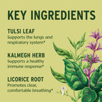 Banyan Botanicals Organic Immune Strong Tablets - 90 Count - image 2