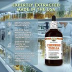 Hawaii Pharm Chinese Thuja (Platycladus orientalis) Seed Alcohol-Free