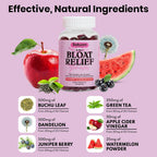Sakoon Nutrition Bloating Relief Gummies for Women - 60 Gummies - image 3