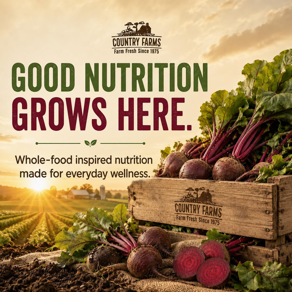 Country Farms Bountiful Beets Capsules Circulation Support - 90 Count - image 10