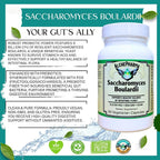 AlchePharma Saccharomyces Boulardii Probiotic - 90 Capsules - image 8