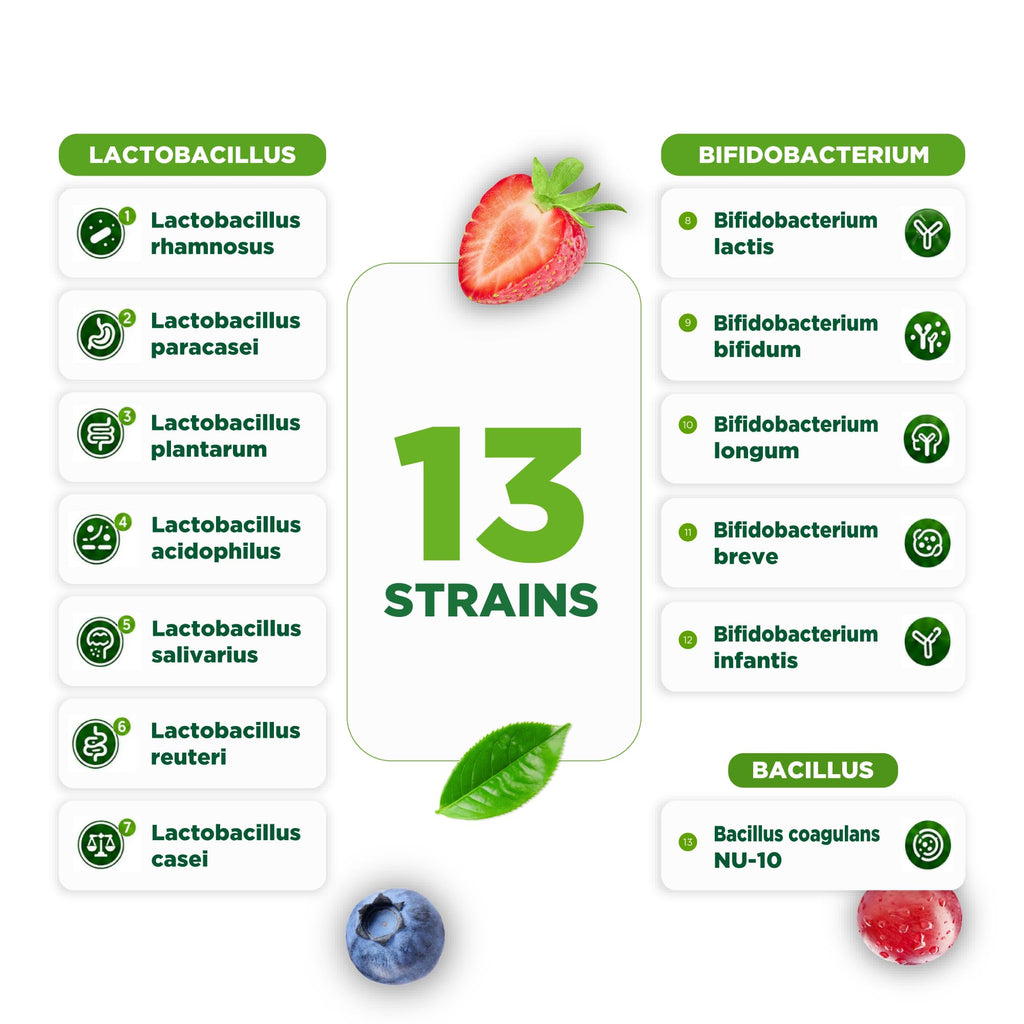Lifeable Pre Post Probiotic Gummies for Women, 10 Billion - 90 Gummies - image 5