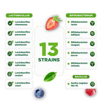 Lifeable Pre Post Probiotic Gummies for Women, 10 Billion - 90 Gummies - image 5