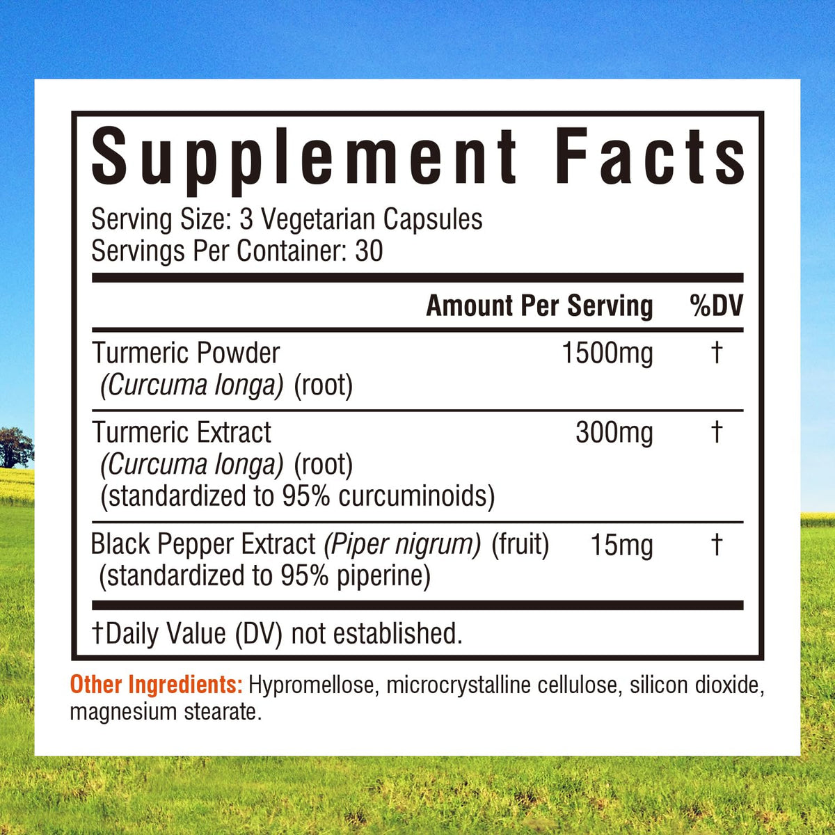 Innate Vitality Turmeric Curcumin 1800mg with Black Pepper - 90 Capsules - image 2