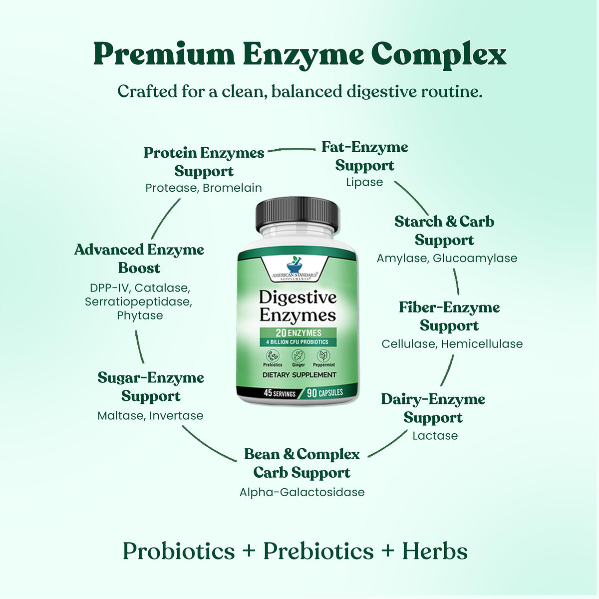 American Standard Supplements Digestive Enzymes Plus Probiotics - 90 Capsules - image 4