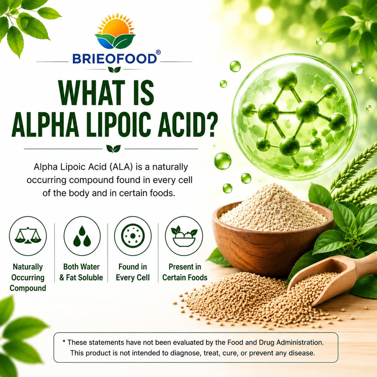 Brieofood Alpha Lipoic Acid 1200mg Antioxidant - 120 Capsules - image 3