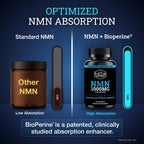 Black Forest NMN 1000mg Nicotinamide Mononucleotide - 60 Capsules - image 4