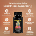 Kailash Herbals Haritaki Kundalini Awakening Herbal Supplement - 100 Capsules - image 7
