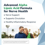 Barton Nutrition Nervala Alpha Lipoic Acid 600mg - 30 Capsules - image 2