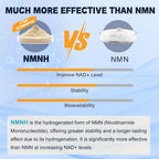 Totaria NMNH (Dihydronicotinamide Mononucleotide) Capsules