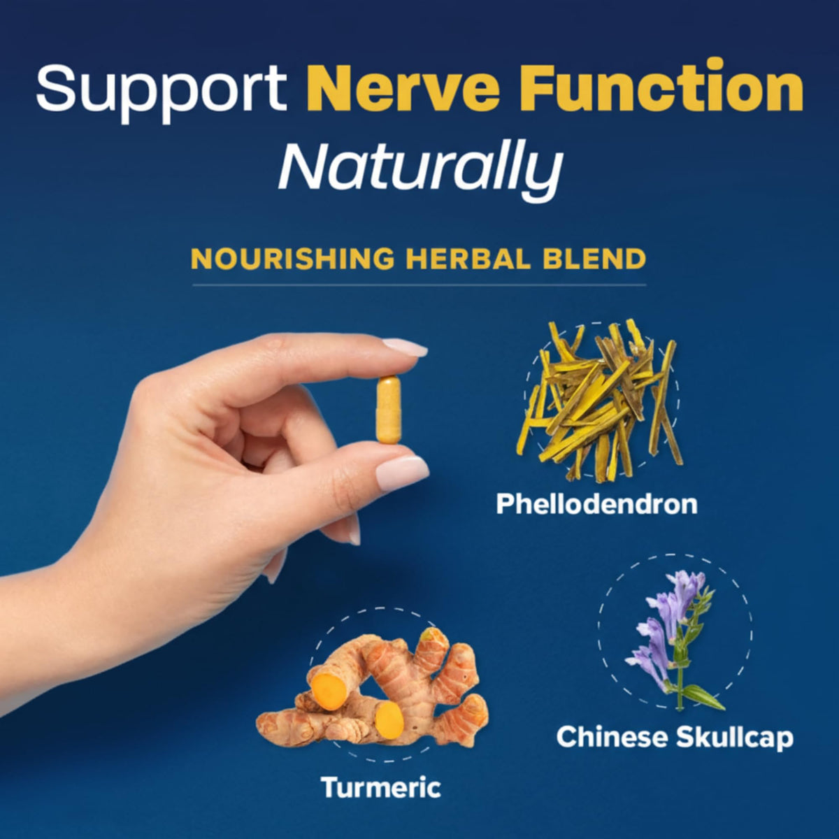 Redd Remedies Nerve Shield Supports Healthy Nerve Structure - 120 Tablets - image 3