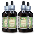 Herbal Terra LLC Dandelion (Taraxacum Officinale) Tincture