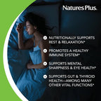 NaturesPlus Melatonin Spray Natural Peppermint - 2 fl oz Pack of 2 - image 3