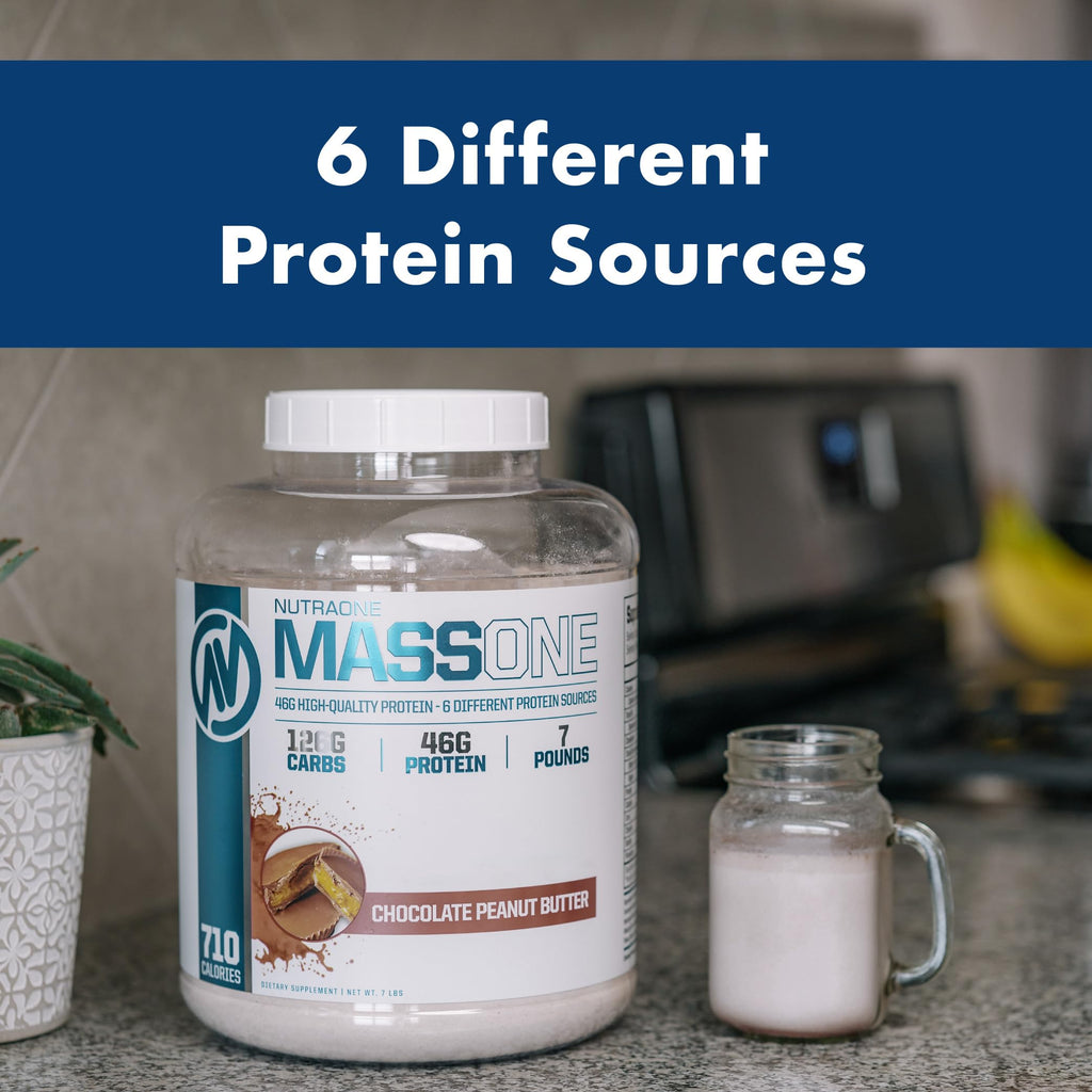 NutraOne Nutrition PROTEIN_SUPPLEMENT_POWDER