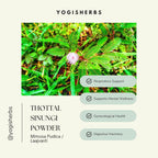 YOGIS HERBS Thottal Sinungi Powder