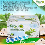 First Vita Plus Guyabano Soursop Powder - 20 Sachets - image 2