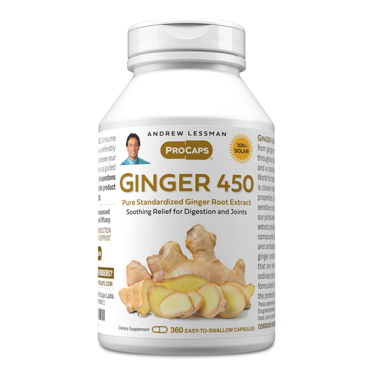 ANDREW LESSMAN Ginger 450 - Capsules - Soothing Relief for Joints