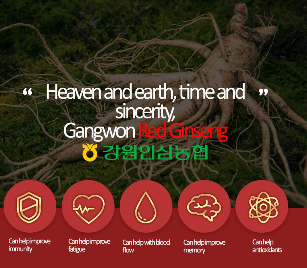 Gangwoninsam 6 Year Korean Red Ginseng Tea - 50 Packets - image 8