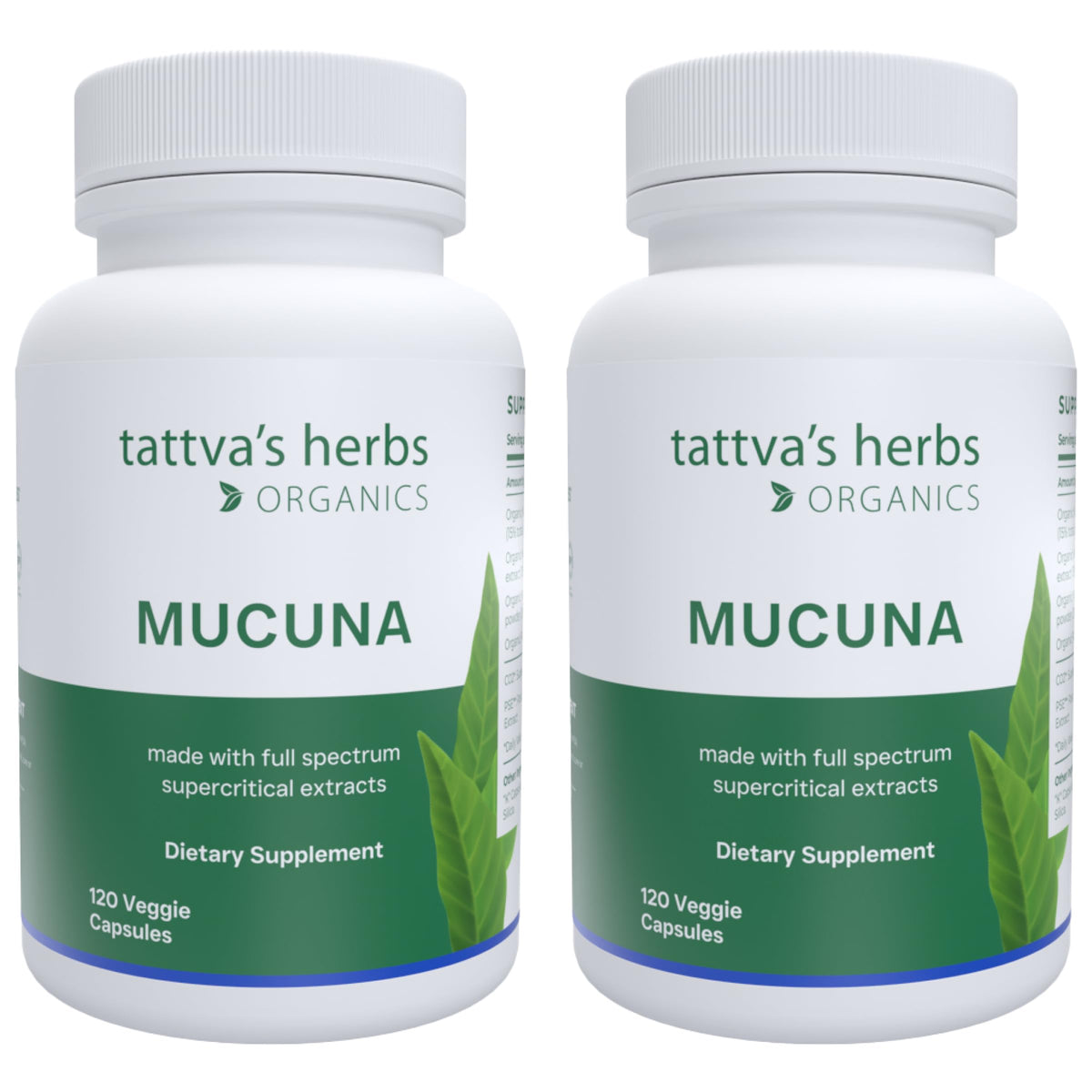 Tattva's Herbs Mucuna Pruriens Extract 500 mg - 240 Capsules