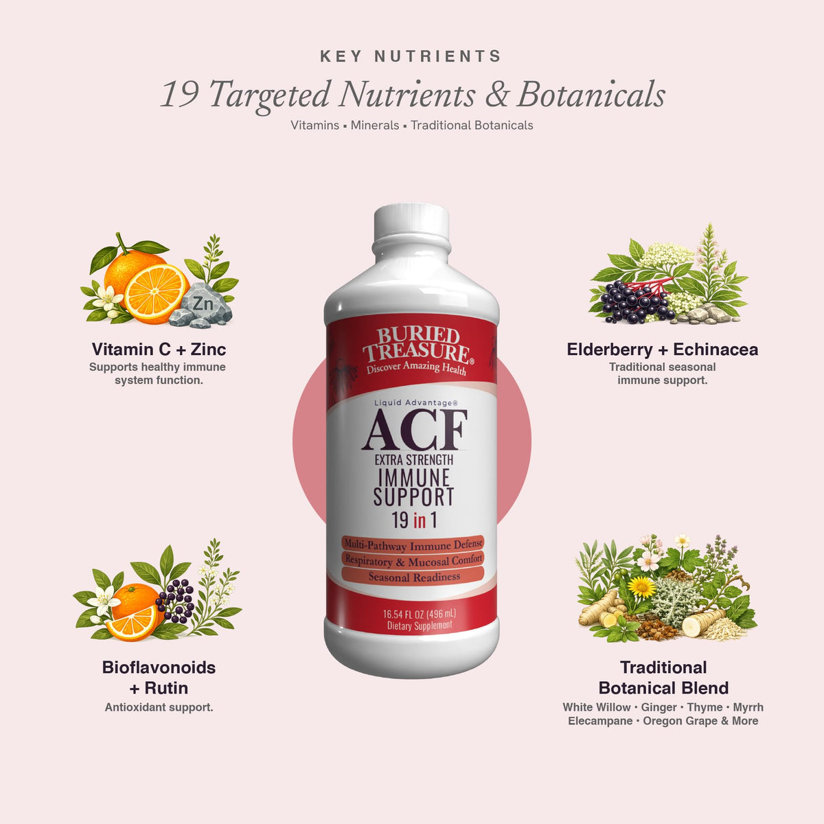 Buried Treasure ACF Extra Strength Liquid Immune Support - 16 fl oz - image 4