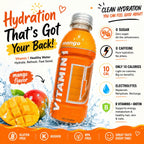 VITAMIN 1 Electrolyte Hydration Drink