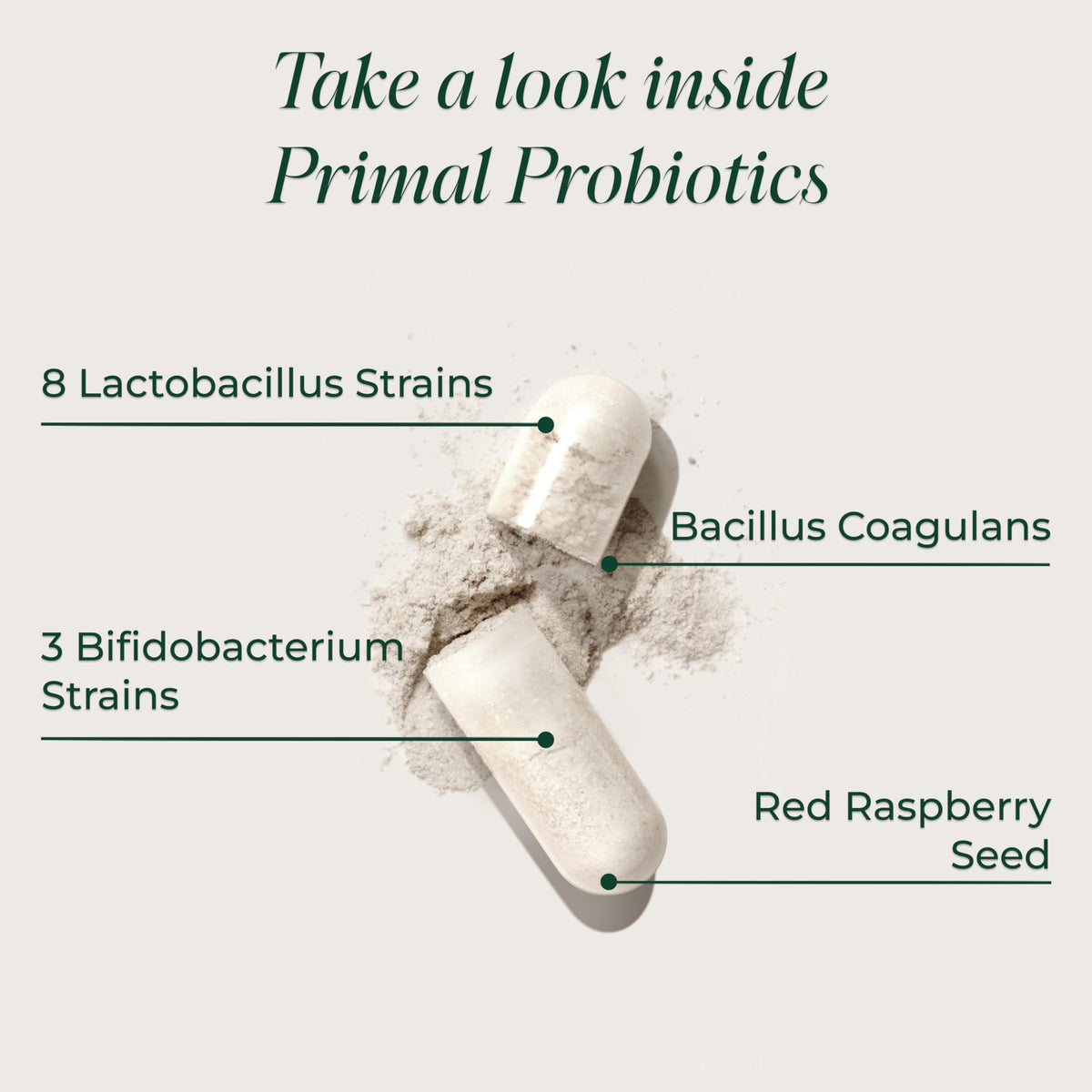 Primal Harvest Probiotic - Daily Supplement
