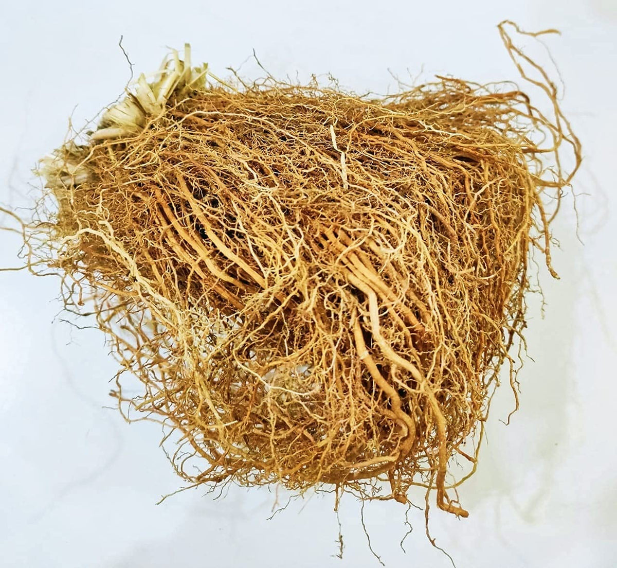 Veena Khas Root Vetiver Roots - 400g