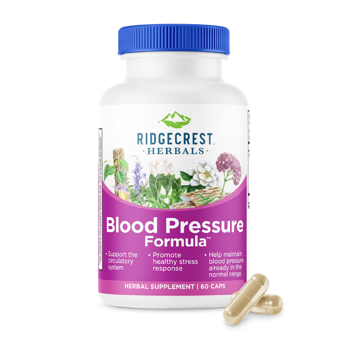 RidgeCrest Herbals Blood Pressure Herbal Formula