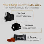 Be Bodywise Pure Himalayan Shilajit Gummies Gold I No Added Sugar I