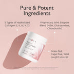 Alaya Naturals Multi Collagen Powder 5 Types with MSM - 20 Servings - image 2
