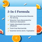 Vitalitown 5 in 1 NAD+