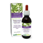 Naturalma Mugwort Herb Liquid Extract Tincture - 4 fl oz
