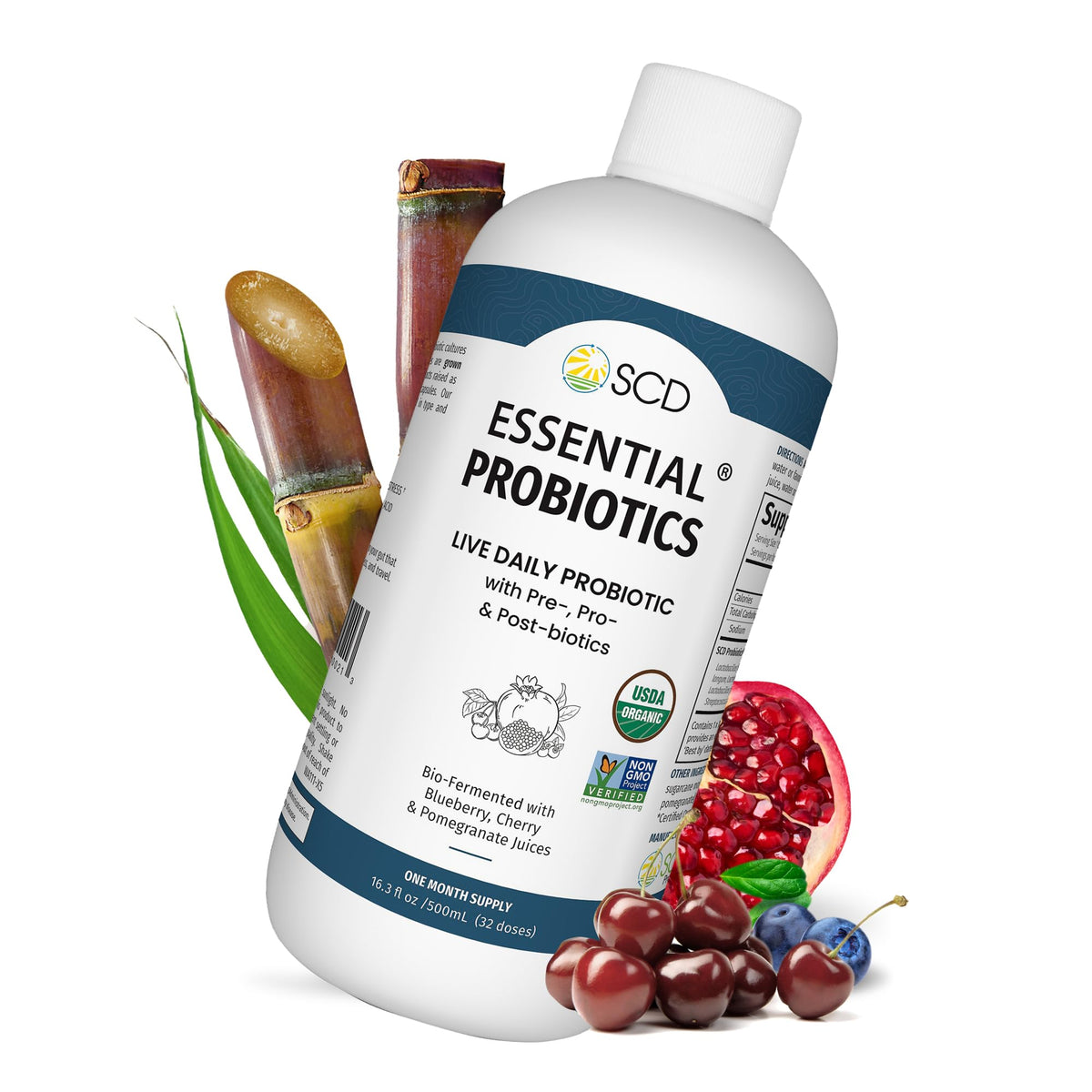 SCD Probiotics Essential Probiotics Gut Health Drink - 16 fl oz