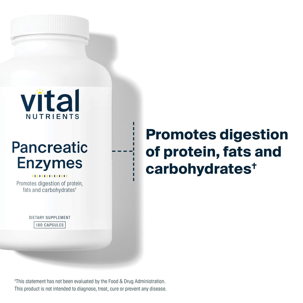 Vital Nutrients Pancreatic Enzymes 1,000mg - 180 Capsules - image 3