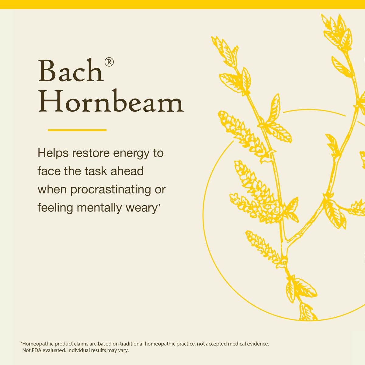 Bach Flower Remedies Hornbeam - 20mL Dropper - image 3