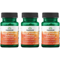 Swanson Rapid Immune Defense Featuring Epicor 500 mg