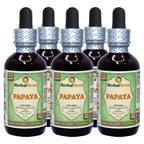 Herbal Terra LLC Papaya (Carica Papaya) Tincture