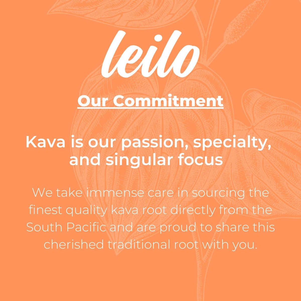 LEILO, Relaxation Drink Powered by Kava