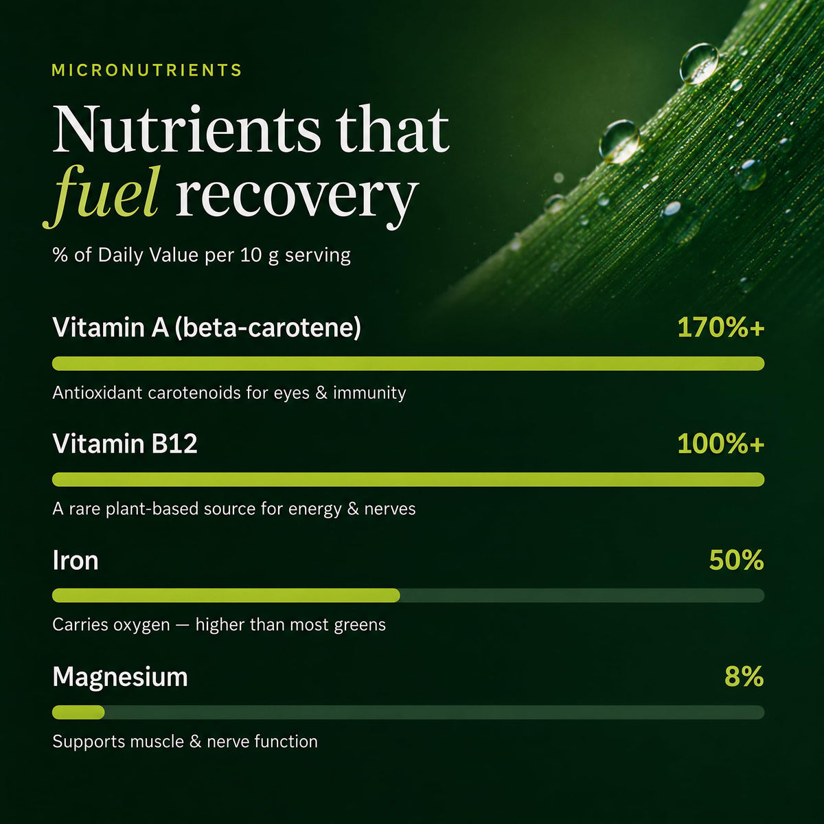 ENERGYBITS RECOVERYbits Organic Chlorella Tablets - 1000 Tablets - image 5
