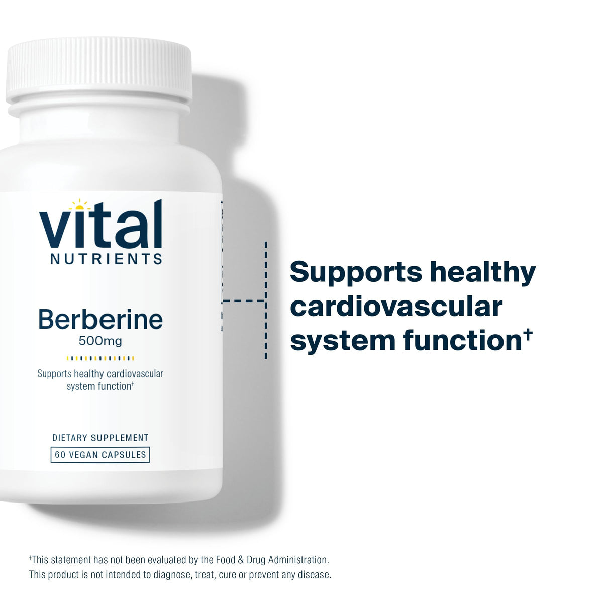 Vital Nutrients Berberine 500 mg Vegan - 60 Capsules - image 5