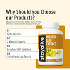 STAY ALIVE Mullein Leaf Extract 1000mg 10:1 - 120 Capsules - image 5