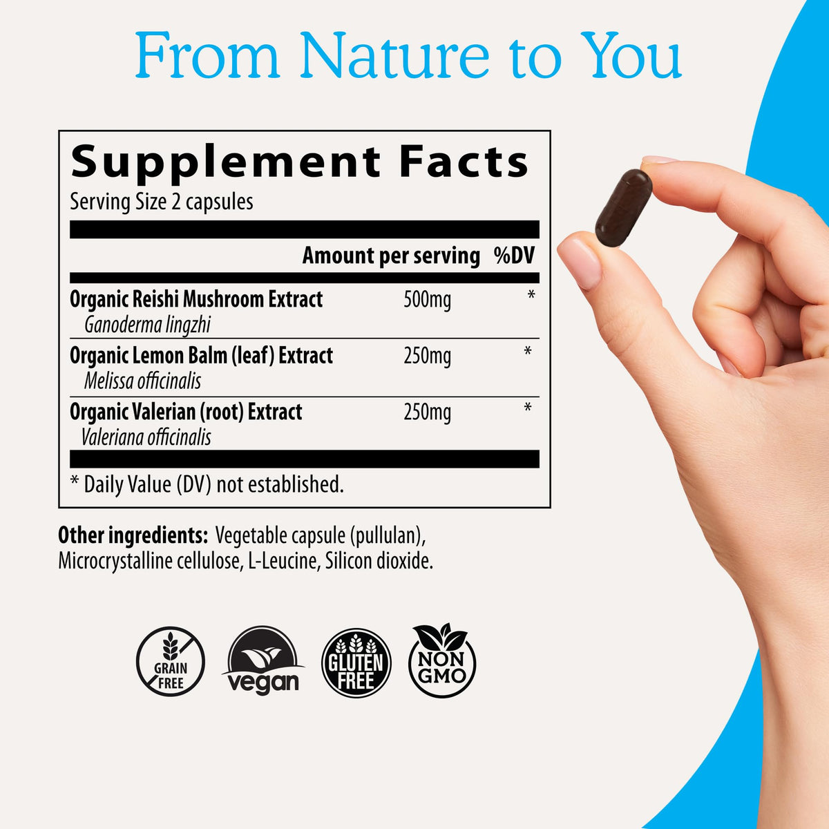 Real Mushrooms RealRest Capsules for Calm and Mindfulness - 60ct - image 4