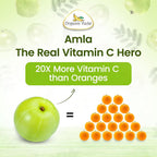 Organic Veda Amla Capsules 1500mg - 300 Capsules - image 9