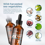 SeaTox