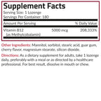 Futurebiotics Methyl B12 5000 MCG Vitamin B12 Methylcobalamin