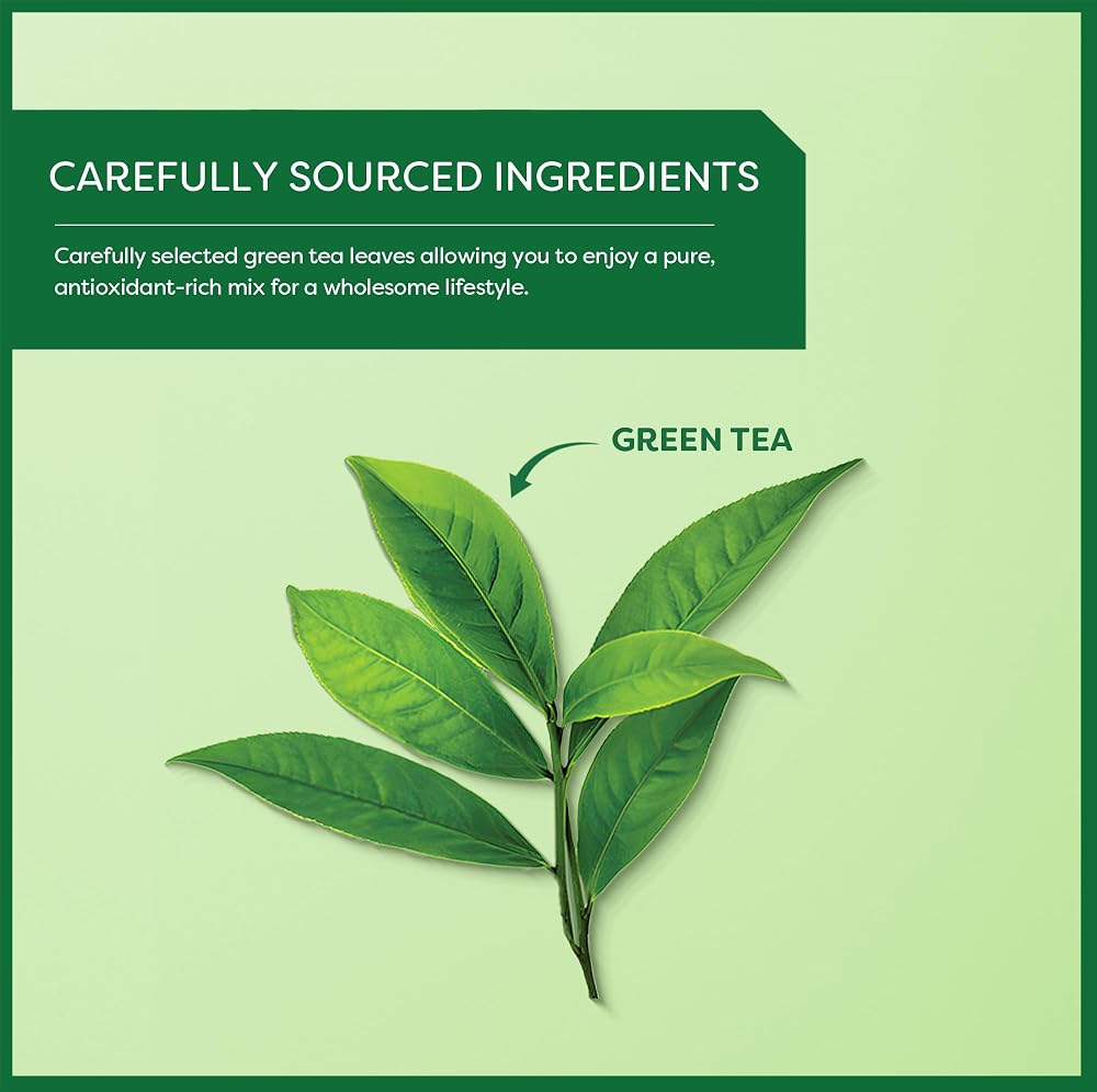 Wissotzky Pure Green Tea - 120 Tea Bags (6 Pack) - image 3