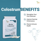 Ved Bovine Colostrum 500 mg - 90 Capsules - image 4
