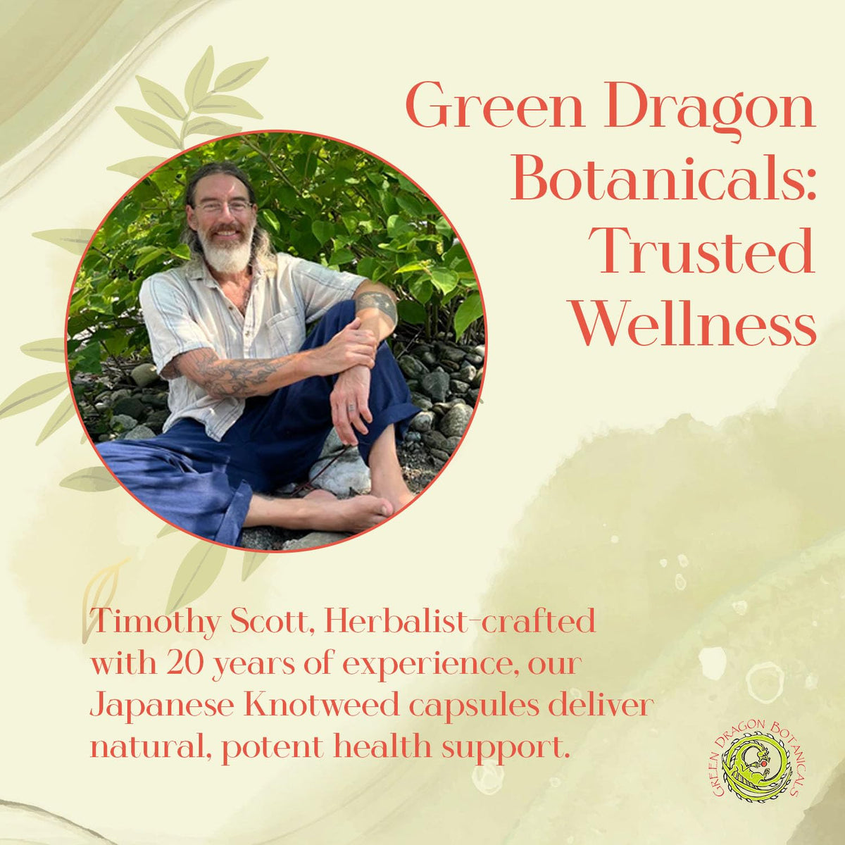 Green Dragon Botanicals Japanese Knotweed 500 mg - 100 Capsules - image 6