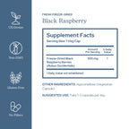 Eclectic Institute Black Raspberry Capsules Antioxidant Support - 90 Capsules - image 2