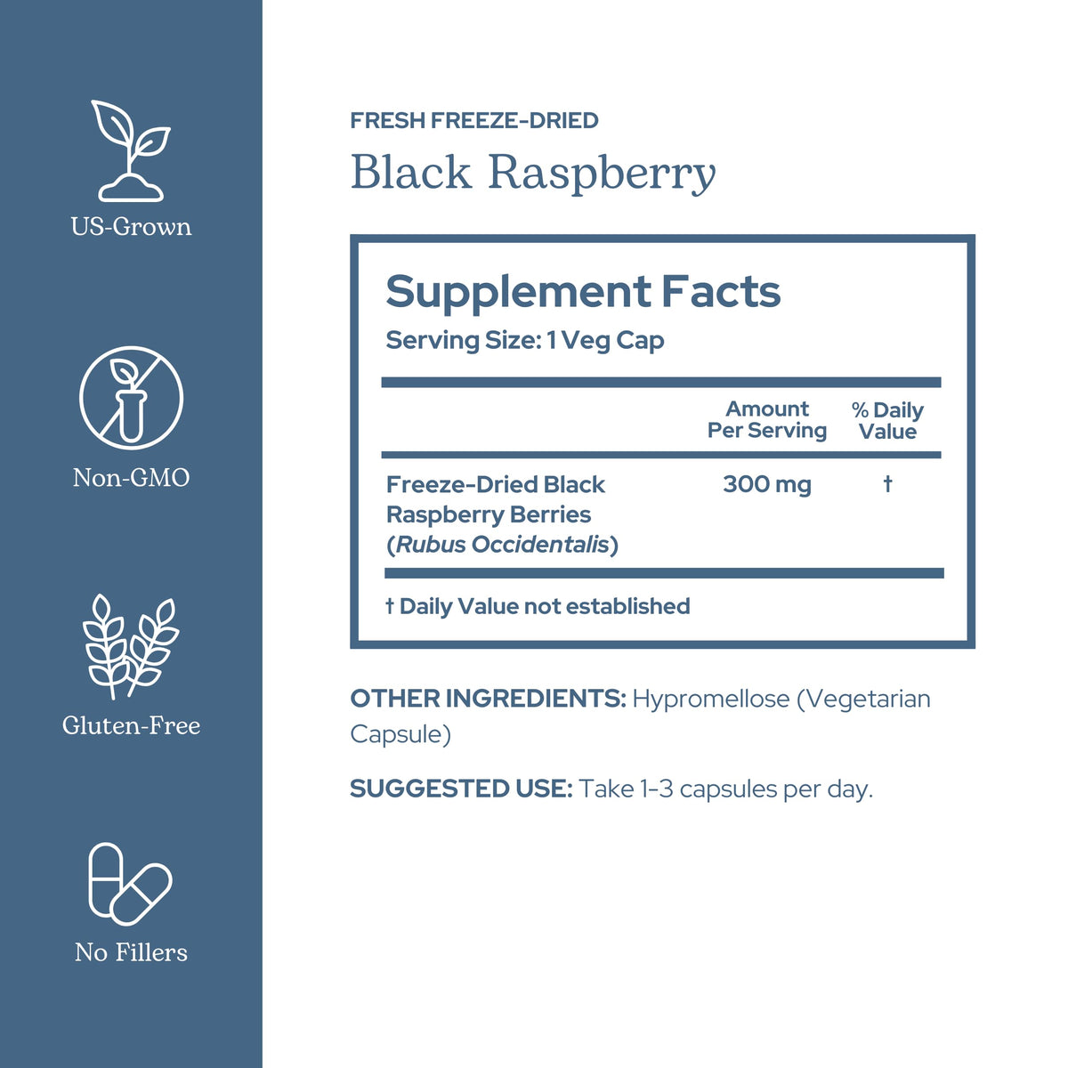 Eclectic Institute Black Raspberry Capsules Antioxidant Support - 90 Capsules - image 2